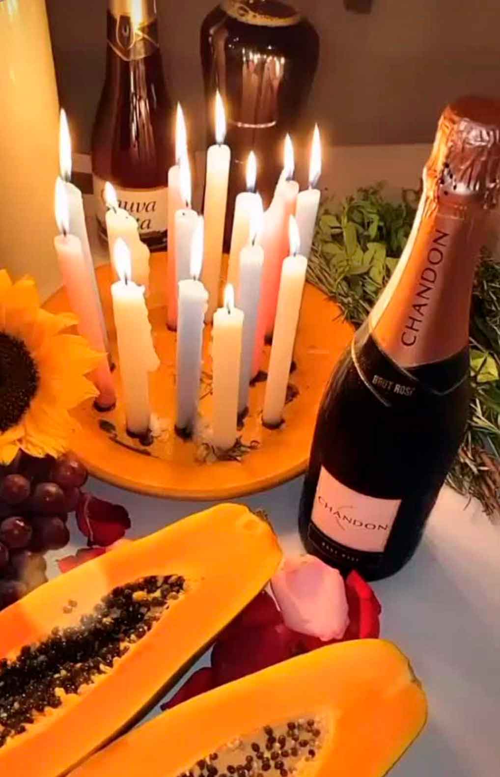 Corto todo tipo de daños